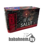 Батарея салютов SALUT
