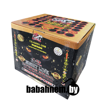 Ночная жизнь (СБ-04901-20М)