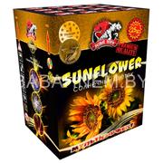Sunflower (PR-12-25)